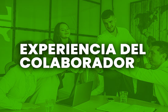 La Experiencia del Colaborador